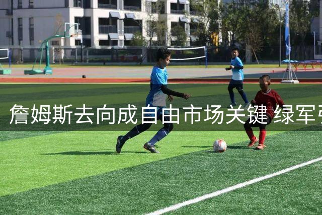 詹姆斯去向成自由市场关键 绿军引援比尔计划被迫搁置